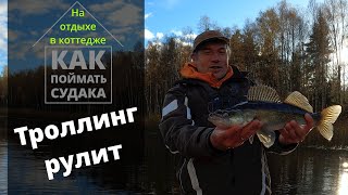 Троллинг рулит! Как поймать судака? #рыбалка #судак