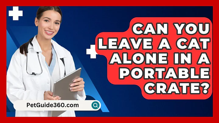Can You Leave A Cat Alone In A Portable Crate? - PetGuide360.com