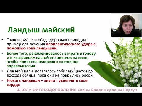 Корсун Елена Владимировна. Фитотерапия для укрепления памяти.