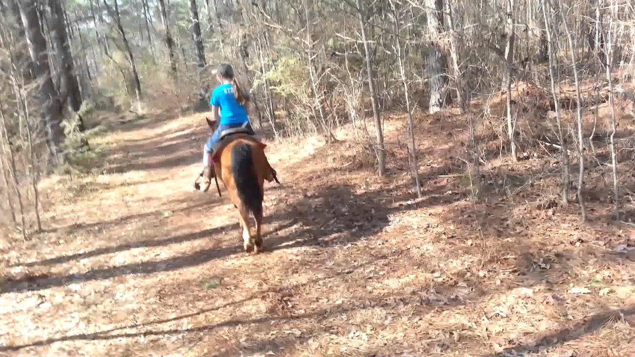Rascals #1 ride - YouTube