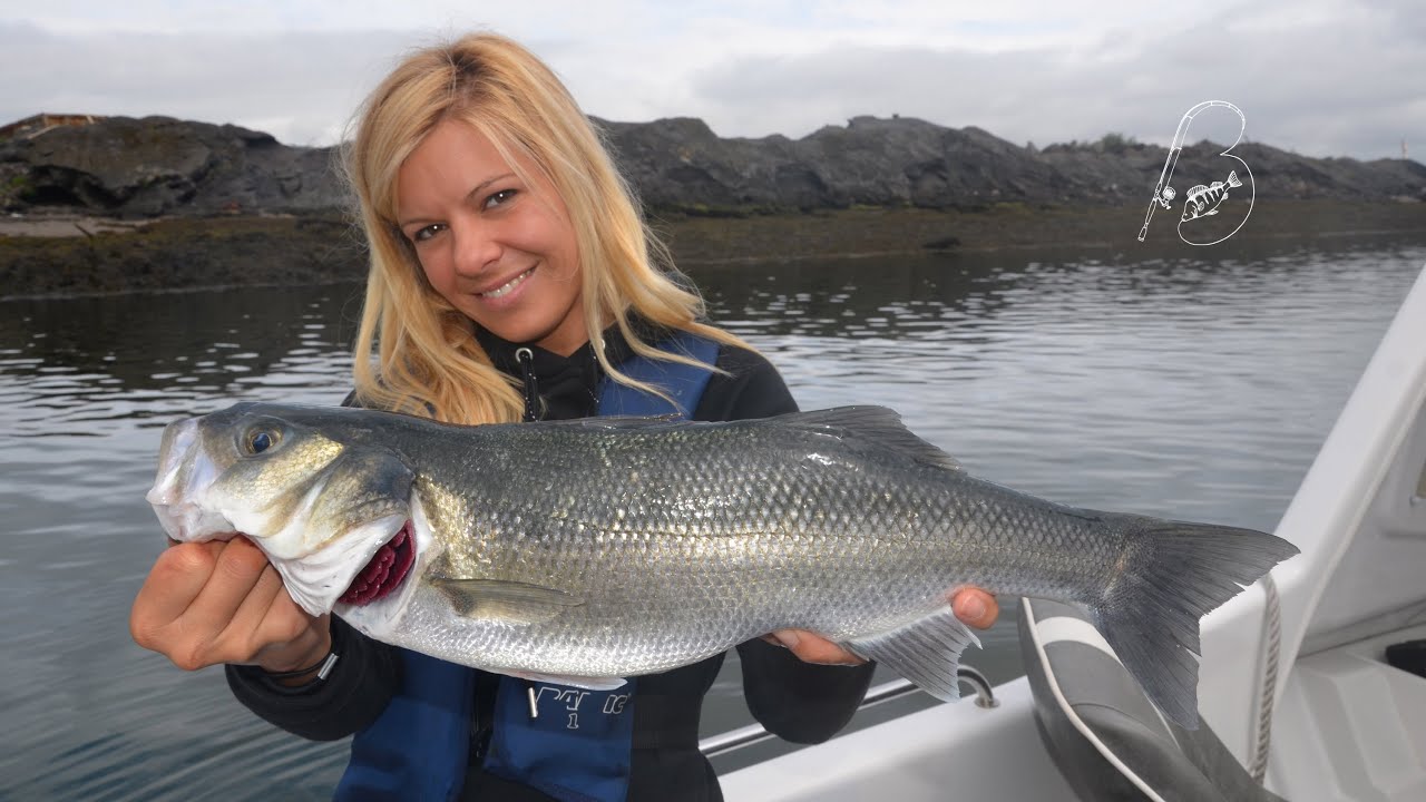 Babs fishing on irish seabass 