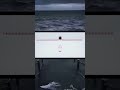 大所帯【呪術廻戦】#shorts