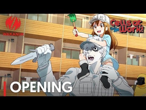 Watch Cells at Work! (English Dubbed Version)- Season 1