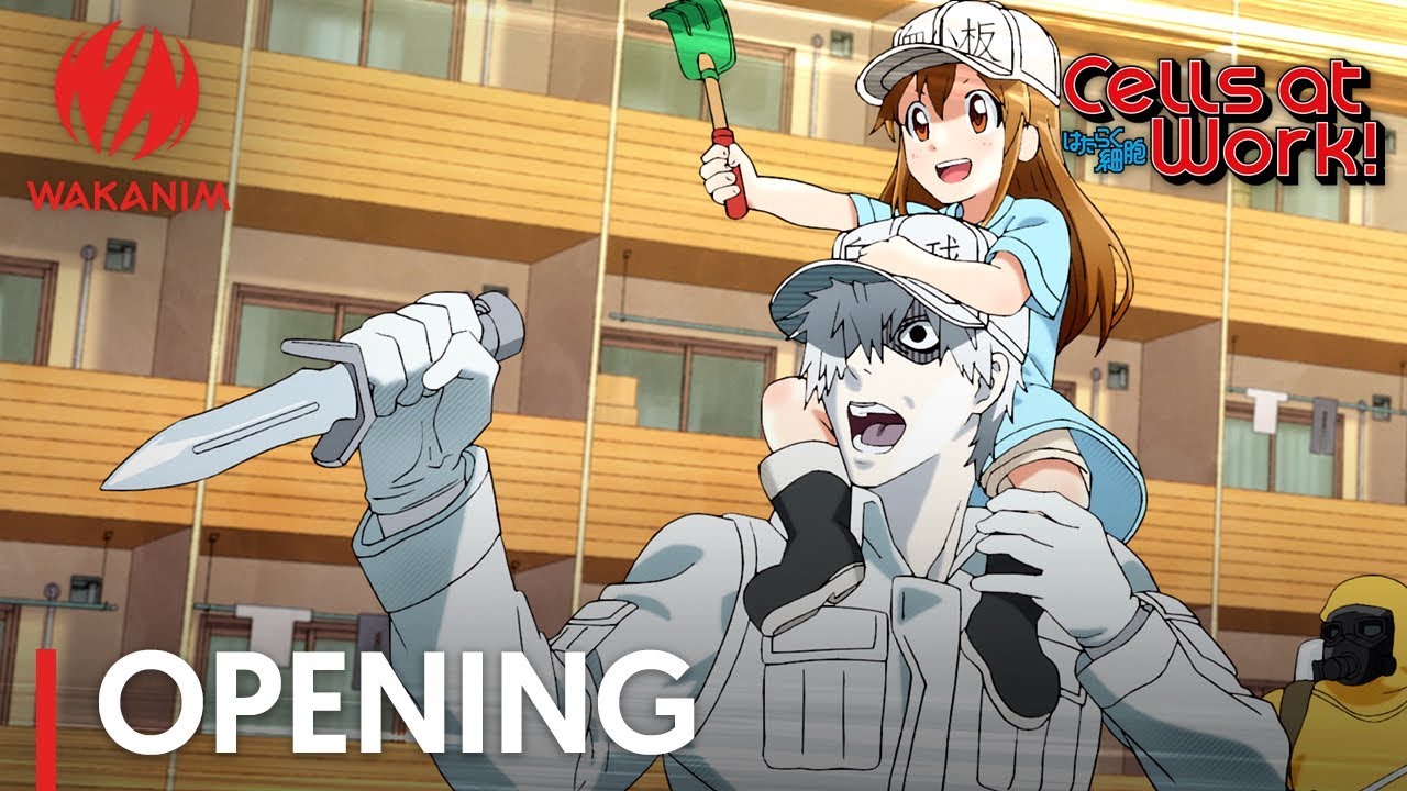 Cells At Work Opening Youtube