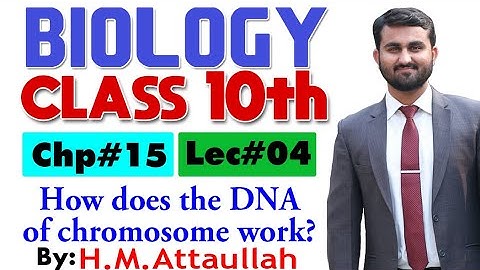 How does the DNA of chromosomes work | Chapter # 15 | Biology Class 10th | Lec.# 04