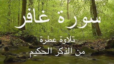 تلاوة عطرة وجد خاشعة من سورة غافر للقارئ أحمد نعينع