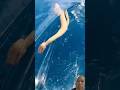 20 October Reiwa 7#dangerous #different #kayak #hits #deep #water #ocean #youtubeshorts