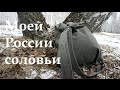 ФОНД РПКМИК &quot;Моей России соловьи&quot; Михаил Шолохов /Судьба человека, Они сражались за Родину/