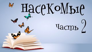 Насекомые для детей.  Учим насекомых.  Часть 2