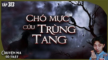 TẬP 313: CHÓ MỰC CỨU TRÙNG TANG || chuyện trùng tang tâm linh ở Bắc Giang || NGUYỄN NGUYỄN