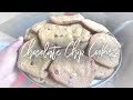 Homemade Chocolate Chip Cookies - No Dairy! 🍪