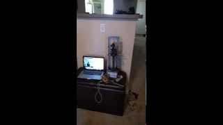 Robotic Airsoft Sentry Gun + Face Detection = fun, OpenCV, Python, and Raspberry Pi 2