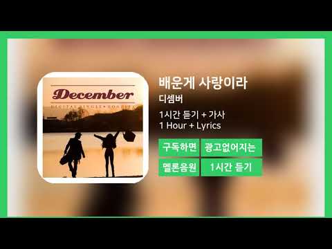 한시간듣기 배운게 사랑이라 디셈버 1시간 연속 듣기