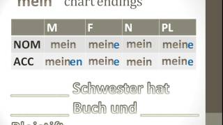 German Grammar: Possessive Adjectives (Nom. and Acc. Case) screenshot 5