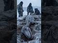 Frozen Baby Dinosaur Found Completely Intact In Greenland 