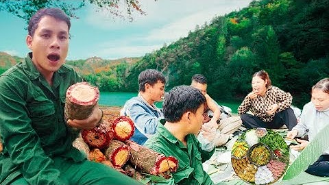 Khám phá bí mật cây Cỏ Máu Ngọt trong rừng sâu – Loài cây giúp dưỡng huyết, đẹp da 