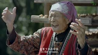「農人道味」 Farmer Taste Trailer 「農人道味」 Farmer Taste Trailer