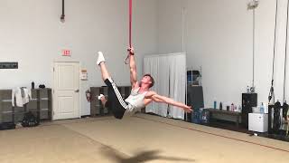 Aerial Straps back flags.
