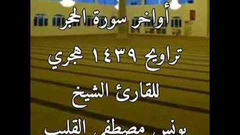 القارئ الشيخ .. يونس مصطفى القليب