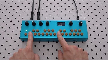 Critter & Guitari - Organelle Distributor Patch