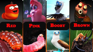 Characters From Larva in Real Life