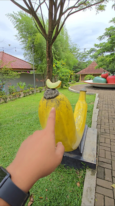 Why are the shallot melons carved into bananas? #trendingshorts