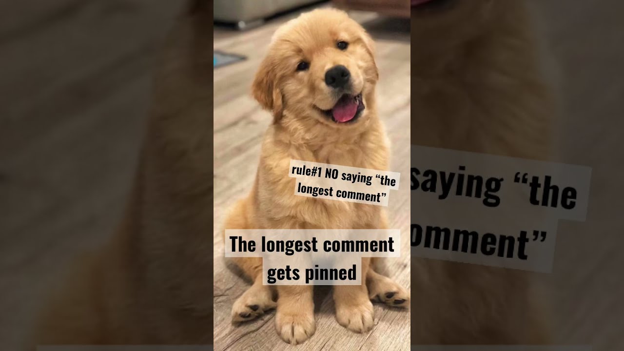 Longest Comment Gets Pinned