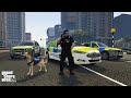 Dog Unit Patrol with Joffrey (GTA 5 LSPDFR Mod #278)