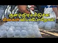 மீன் குஞ்சுகள் வாங்க போறோம்! கட்லா | பொட்லா | ரோகு | மிர்கால்.. | #fishing #enathuaran
