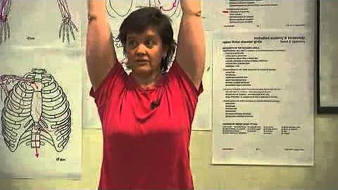 Shoulders & Spine: The Chicken & the Egg - Amy Mat...