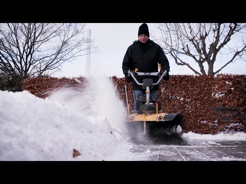 Video: Ar vejos šlavimo mašina rinks pušų spyglius?