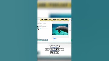 Descript: The AI Powerhouse for Video and Podcast Editing