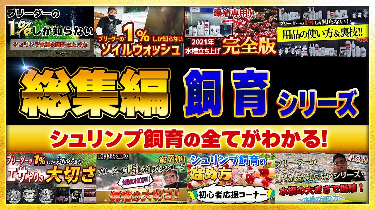 【総集編】飼育シリーズ【ローキーズネオ】