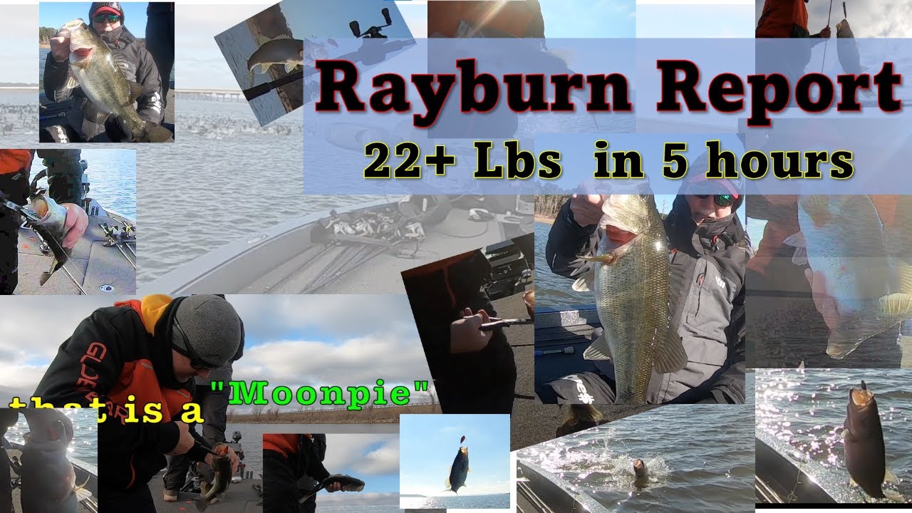 Rayburn Report - 22+ for Best 5 Fish - YouTube