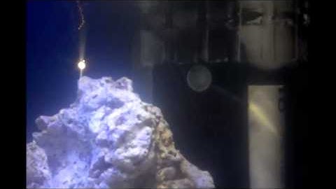 Week 1 reef tank with Herbie overflow, sump/refug, LED setup