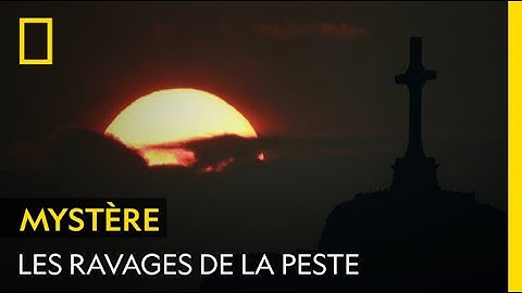 Les ravages de la peste à Bucarest