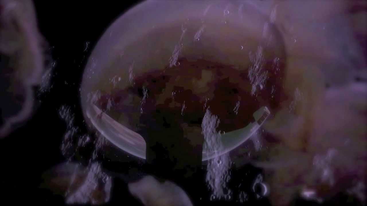 Vashta Nerada  - To Ascend Through Your Shadow (Official Video)