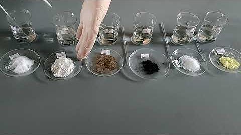 Hoà Tan Các Chất Rắn Trong Nước | KHOA HỌC TỰ NHIÊN 6 | Chân Trời Sáng Tạo