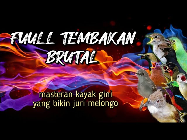 FULL TEMBAKAN BRUTAL || masteran paling di sukai juri class=