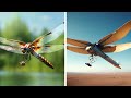 Come la natura aiuta gli ingegneri