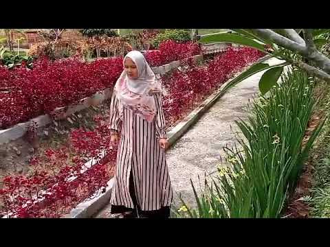 Lagu Pak Pak Sada Sada Vocal Dewi Berampu