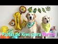 Pastel de Kiwi para perros 🐶