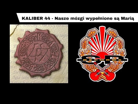 Nasze mózgi wypełnione są Marią