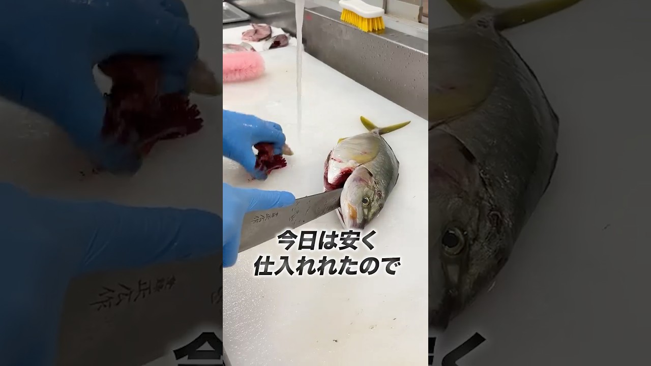 Wild-caught Striped Jack🐟 #sushi #seafoodlover #sushi #cooking