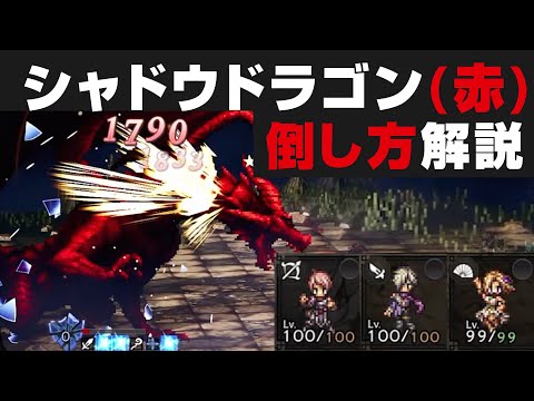 【オクトラ大陸の覇者】シャドウドラゴン(赤)を無凸PTで解説攻略 / 1回倒したい方向けの麻痺・睡眠有り【オクトパストラベラー大陸の覇者検証】OCTOPATH TRAVELER: CotC