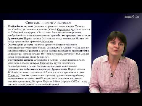 Лыгина Е. А. - Историческая геология. Краткий курс - Лекция 11