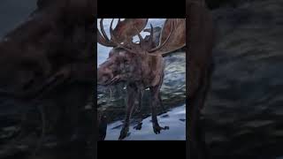 Arthur vs Moose #reddeadredemption2