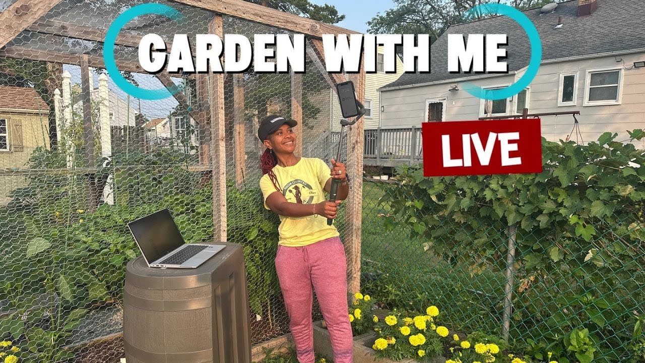 Let's Chat About Companion Planting!