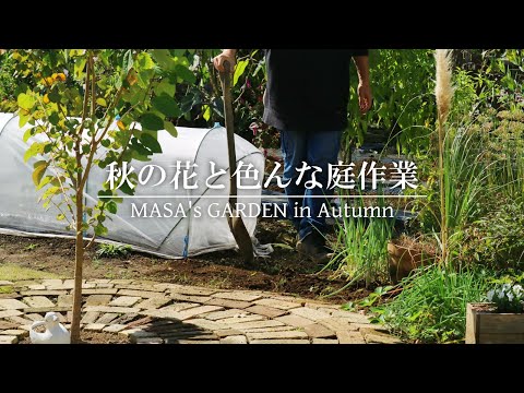 参考品　　自宅庭に咲いた花達！ 参考品 自宅庭に咲いた花達！