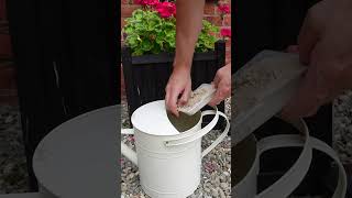 Eco-Friendly Slug Control – Why We Use Nemaslug (Nematodes) in our Garden